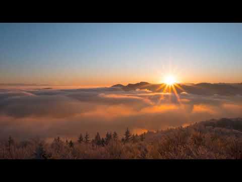 Video Stock Bình Minh 4K - Free Footage Không Watermark | Dùng Cho Editor