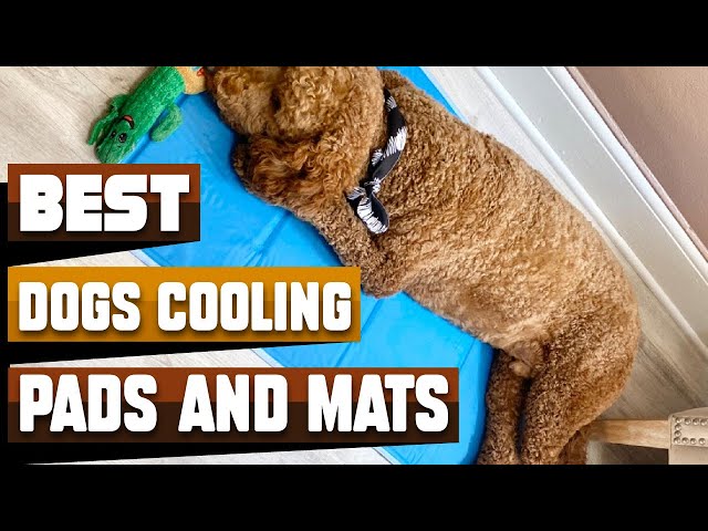 The 3 Best Dog Cooling Mats and Pads of 2023