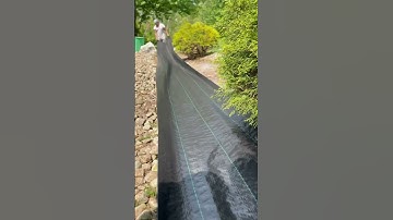 How to Install Landscape Fabric #backyard-shorts#landscaping  ideas