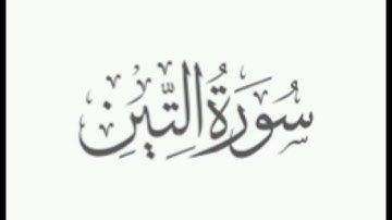 Surat At-Tin (The Fig) |  Hafiz Abu bakarshahid  | حافظ ابوبکر شاہد صاحب | سورة التين#Hamza Ria