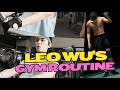 Watch leo wu  gym and sport clips