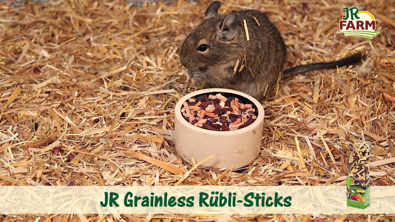 JR FARM - JR Grainless Rübli-Sticks