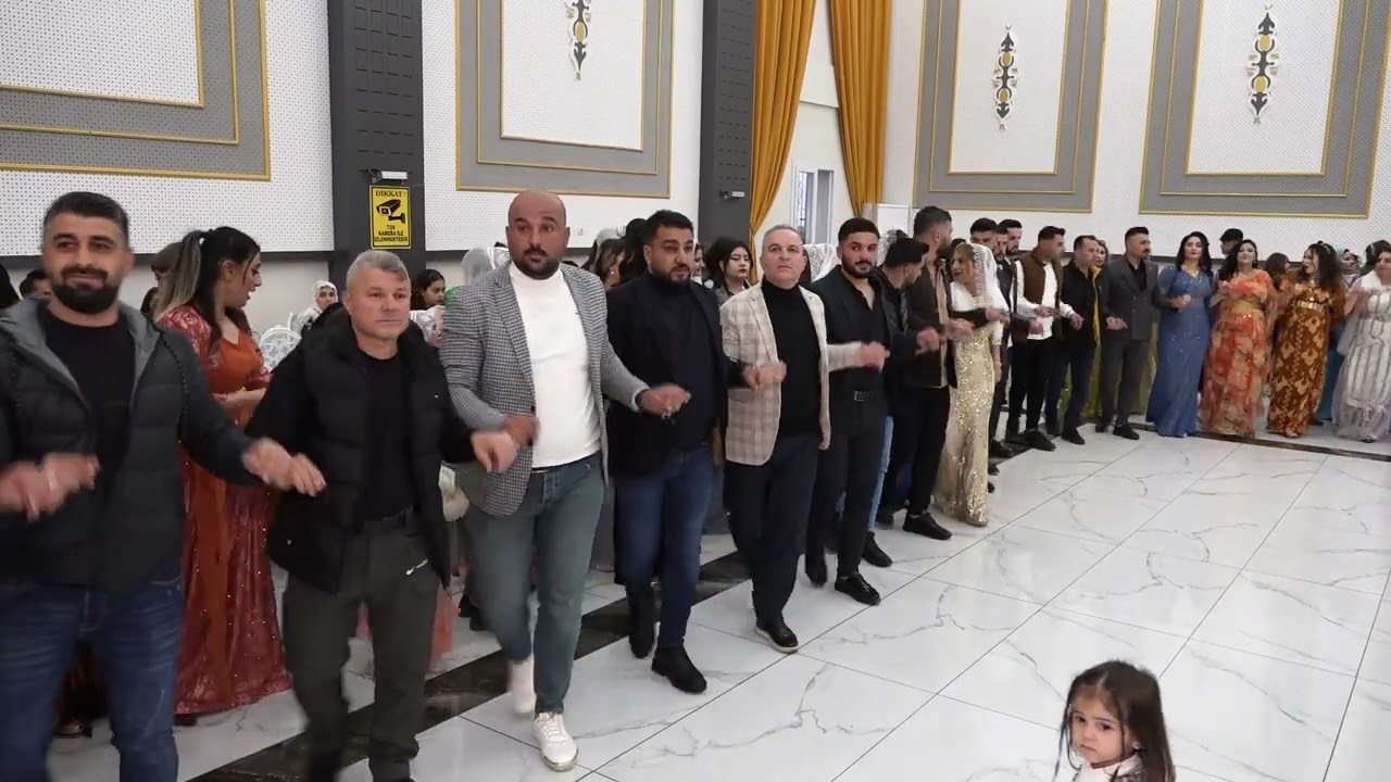 Keskin Ailesi Bedirxan Seyithan İki Kardeş Damat Düğünü Part 3 ( Grup Welat Silopi ) 2024