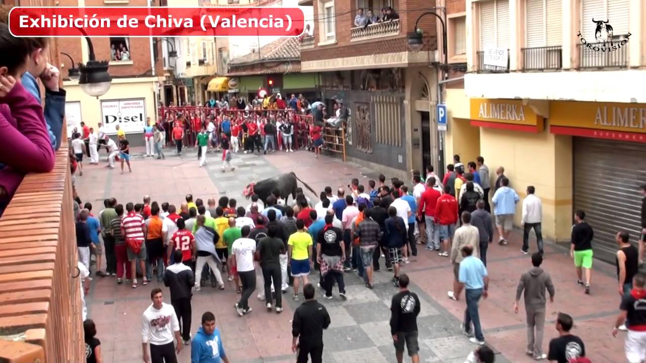 CONGRESO TOROS DE CUERDA 2014 