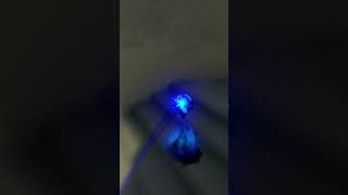 Best Yoru Tp On Haven Pt. 10