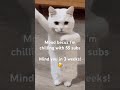 Me chilling with 55 subscribers 😎 #music #viral #trending #memes #funny #trendingshorts #shorts