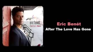 Eric Benet - After The love has Gone