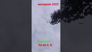 27 Июля 2023 Г.