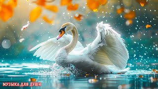 ТАКОЙ МУЗЫКИ ТЫ ЕЩЕ НЕ СЛЫШАЛ! СУПЕР СБОРНИК!ВЕЛИКОЛЕПНАЯ ИНСТРУМЕНТАЛЬНАЯ МУЗЫКА. КРАСИВЫЕ#музыка