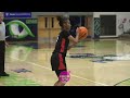 Rolesville 2025 guard Caitlyn Jones junior season highlights! Wake Forest commit!