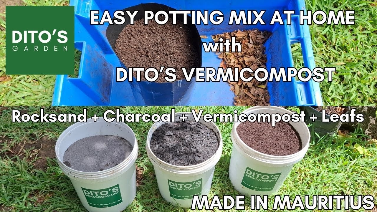 DITO'S GARDEN Melvin's 5-Step Potting Mix Method Using Vermicompost + Biochar in Mauritius