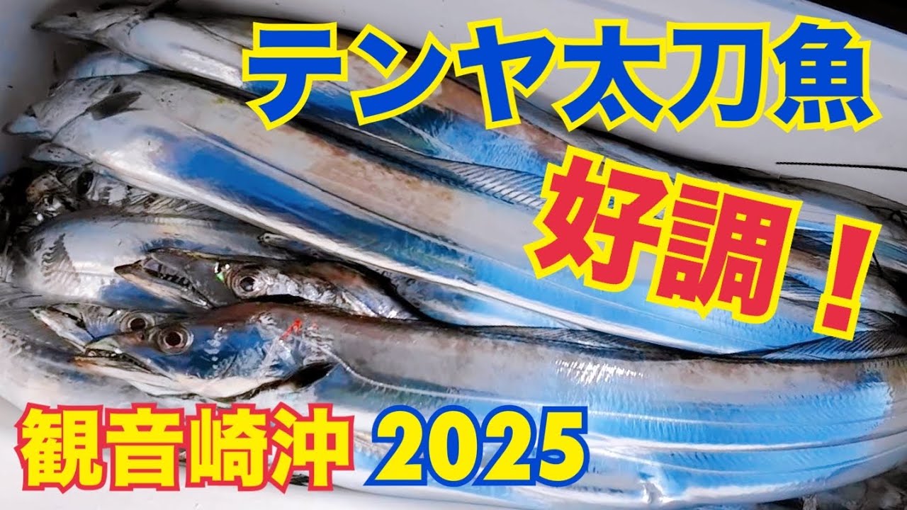 【タチウオ釣り】テンヤが面白い！絶好調の観音崎沖で初釣り｜東京湾｜合わせ方・エサの付け方｜2025.1.2