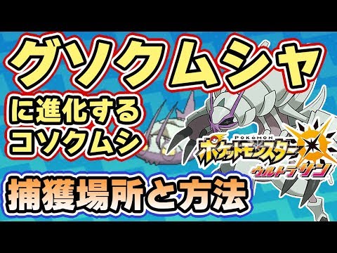 Usum コソクムシのおぼえる技 入手方法など攻略情報まとめ ポケモンウルトラサンムーン 攻略大百科