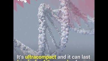 DNA could store all of the world