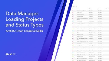 Data Manager: Loading Projects and Status Types