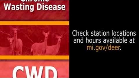 DNR video on CWD area hunting rules
