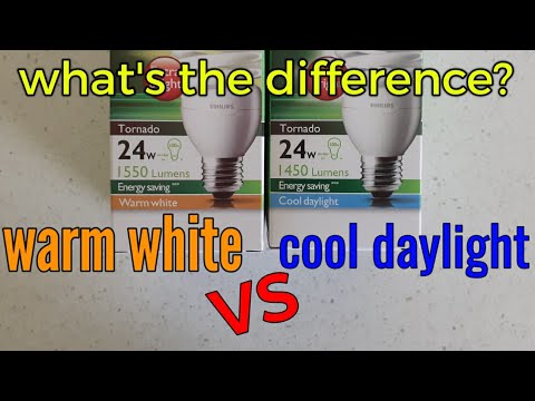 Light Bulbs The Diffe Types Of, Types Of Light Warm White