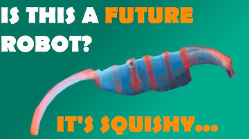 Future Robotics - Squishy Robots?
