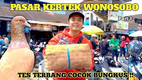 BERBURU MERPATI GIRINGAN DIPASAR KERTEK WONOSOBO CAKEP CAKEP TES TERBANG COCOK BUNGKUS PART 3