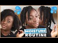 Simple moisture routine💦 for dry natural hair