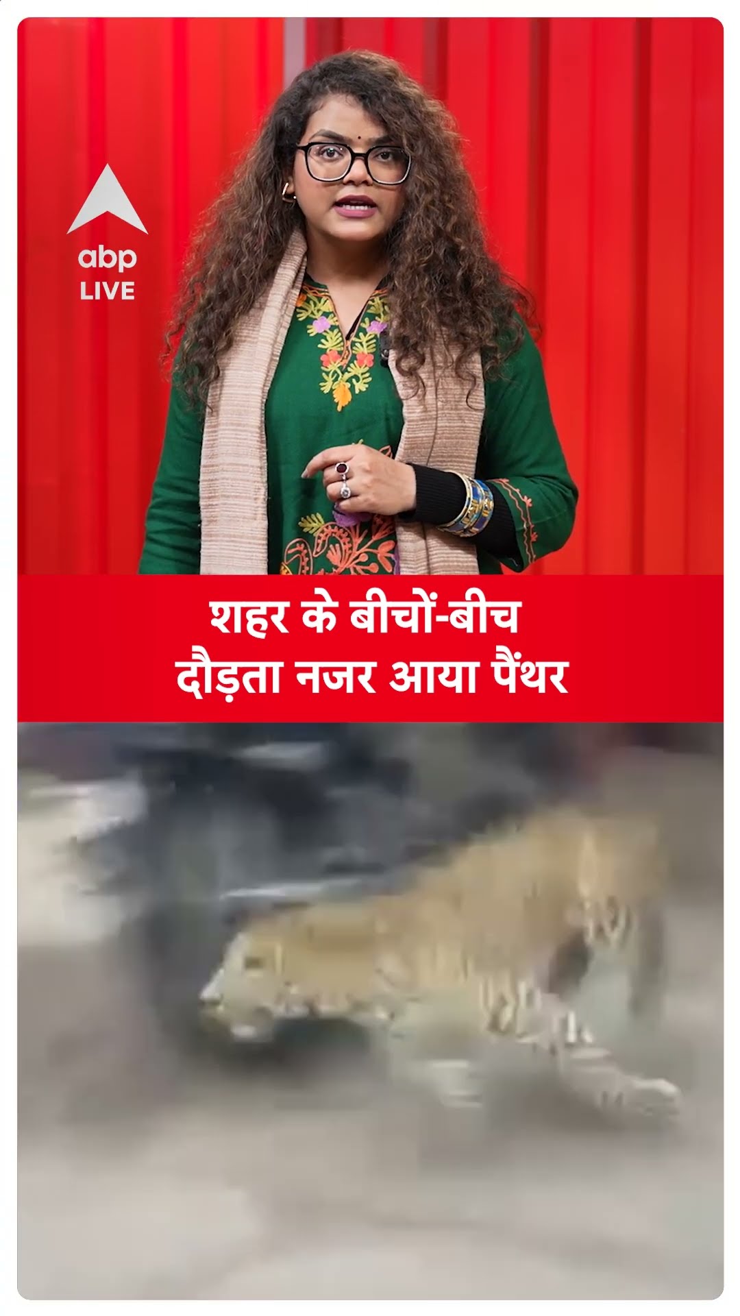 Rajasthan News: शहर के बीचों-बीच दौड़ता नजर आया पैंथर | ABP LIVE | SHORTS
