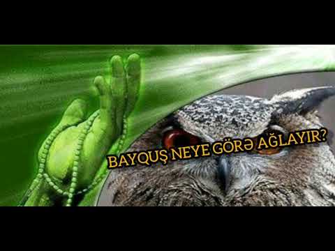 BAYQUS NEYE GÖRE AGLAYİR? {Çox tesirli hekaye}