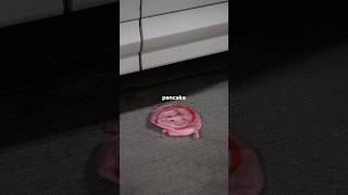 Indestructible Pig Vs Indestructible Gorilla