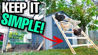 Cheap And Easy DIY Chicken Roost!