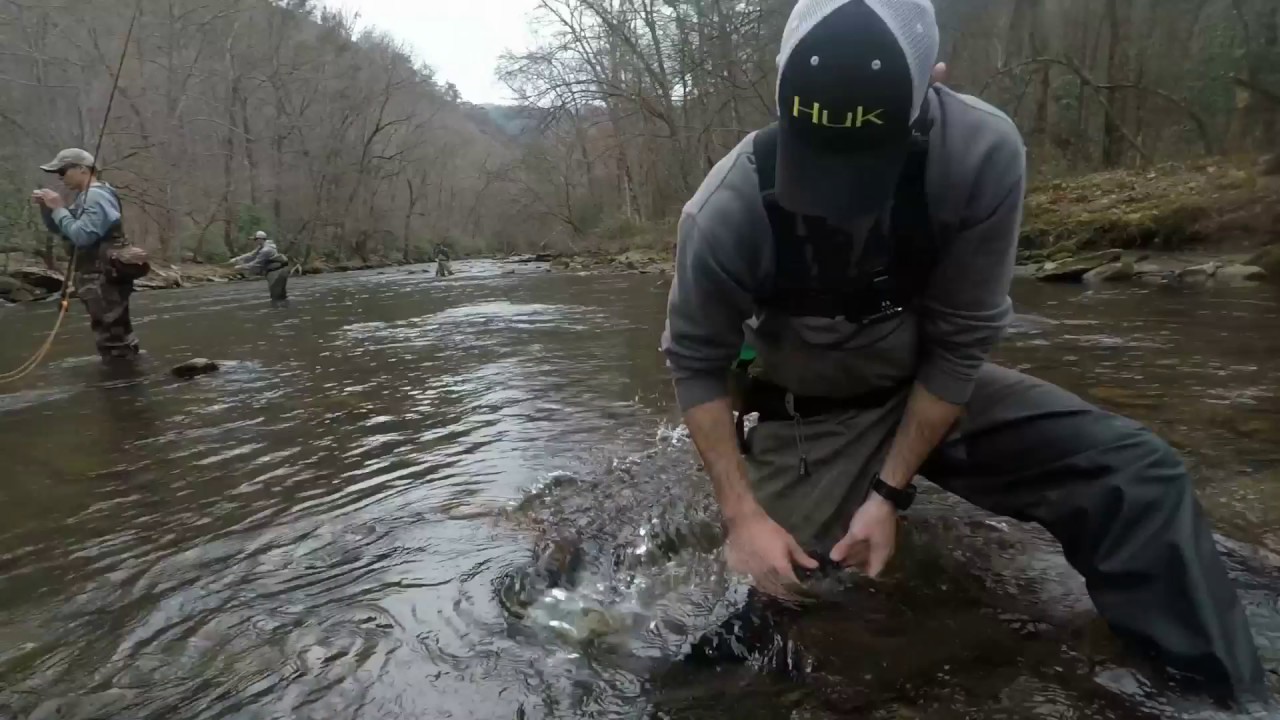 Cherokee NC trout YouTube