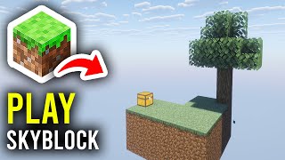 How To Play SkyBlock On Minecraft - Step By Step screenshot 1