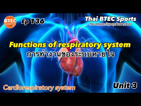 Ep.136 Functions of the respiratory system การทำงานของระบบหายใจ