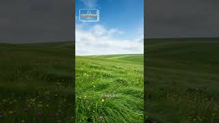 바람 따라 걷다 보면 기분 좋아지는 순간 🌿 | Cafe Playlist
