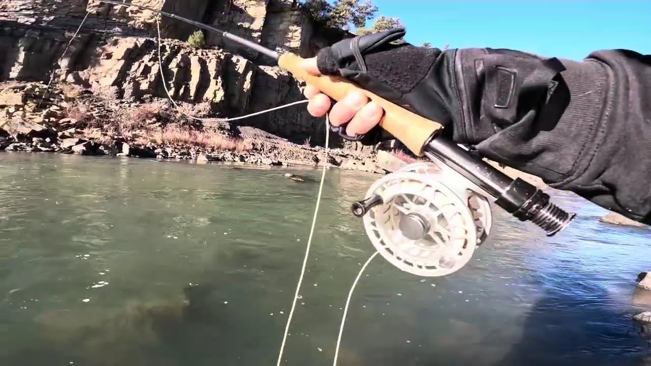 Скрытая рыболовная жемчужина северного Нью-Мексико