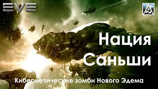 История вселенной EVE Online. Нация Саньши