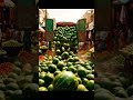 ASMR Watermelon Chaos | Thousands of Watermelons Spill in Busy Indian Market