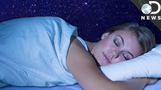 Why Aren’t Humans Naturally Nocturnal?