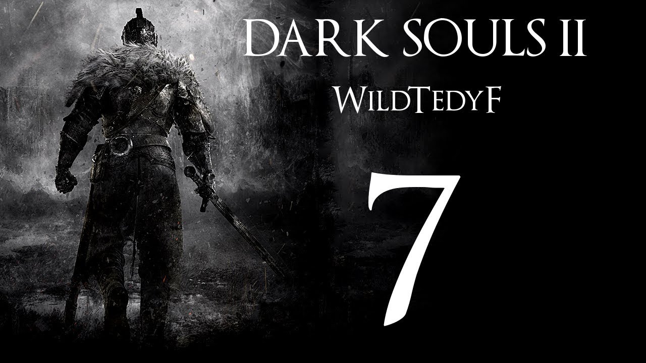 LP DSII s WildTedyF #7