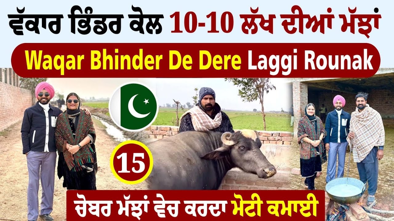 Waqar Bhinder Da Dera | Amrik Manpreet | Pakistan 🇵🇰 Tour | Walk With Turna | Waqas Haider