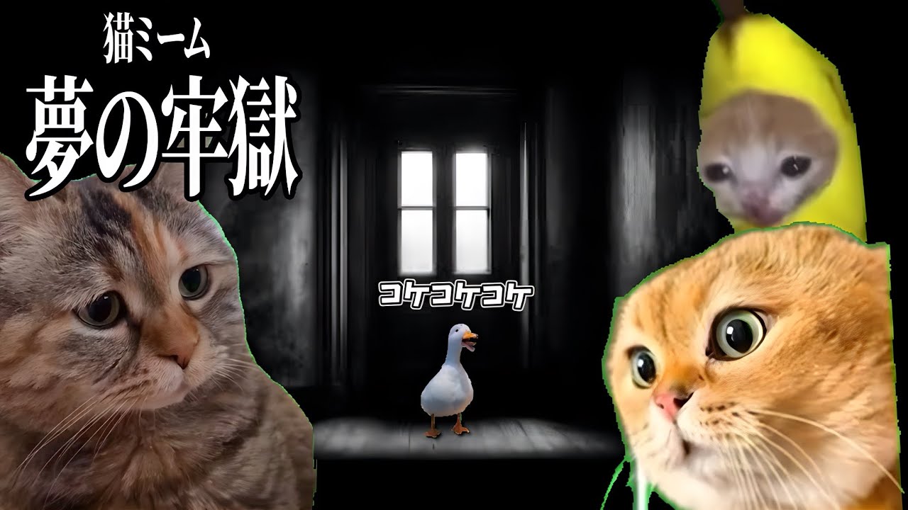 【猫ミーム】謎の牢獄から逃げ出す猫たちの物語 第9話