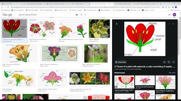 Kaggle Ortamında Keşifci Veri Analizi