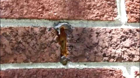 Nashville's Home Inspector reveals clogged "Weep Holes"