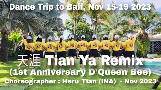 D'QUEEN BEE | 天涯 Tian Ya Remix | LINE DANCE | Beginner | Heru Tian