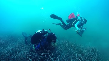 Aegean Rebreath Tinos initiative 13-14/10/2018