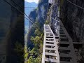 Shorts شاهد الفيديو وإذا خفت فأنت تعاني من فوبيا المرتفعات Shorts شاهد الفيديو وإذا خفت فأنت تعاني من فوبيا المرتفعات