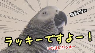 ずぅちゃん（11歳） - YouTube