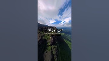 القارئ بدر التركي