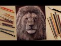 Speed Drawing: Mufasa | The Lion King