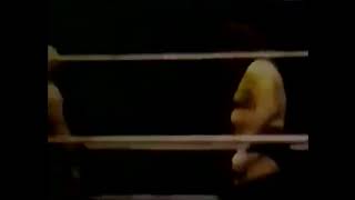 ANDRE THE GIANT MSG DEBUT vs BUDDY WOLFE