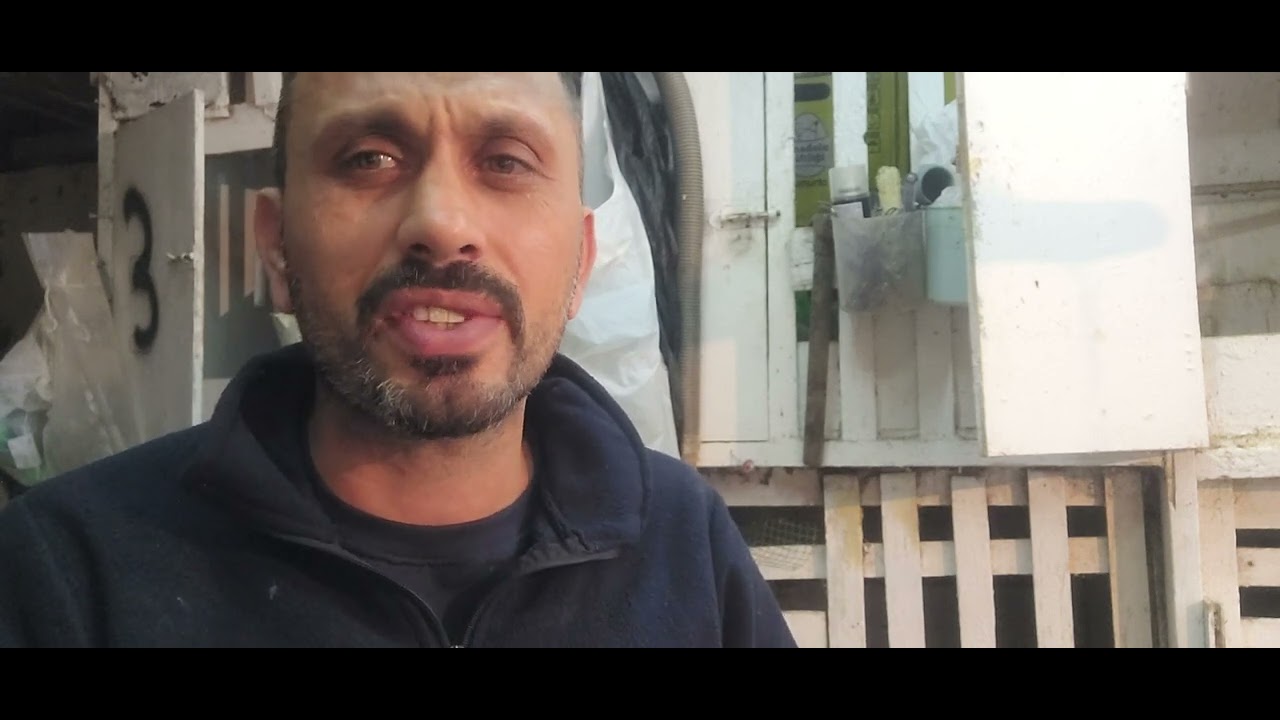 hint #horozu mantar tedavis