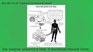 46. Как энергия хранится в теле.  О мыслечувственной петле